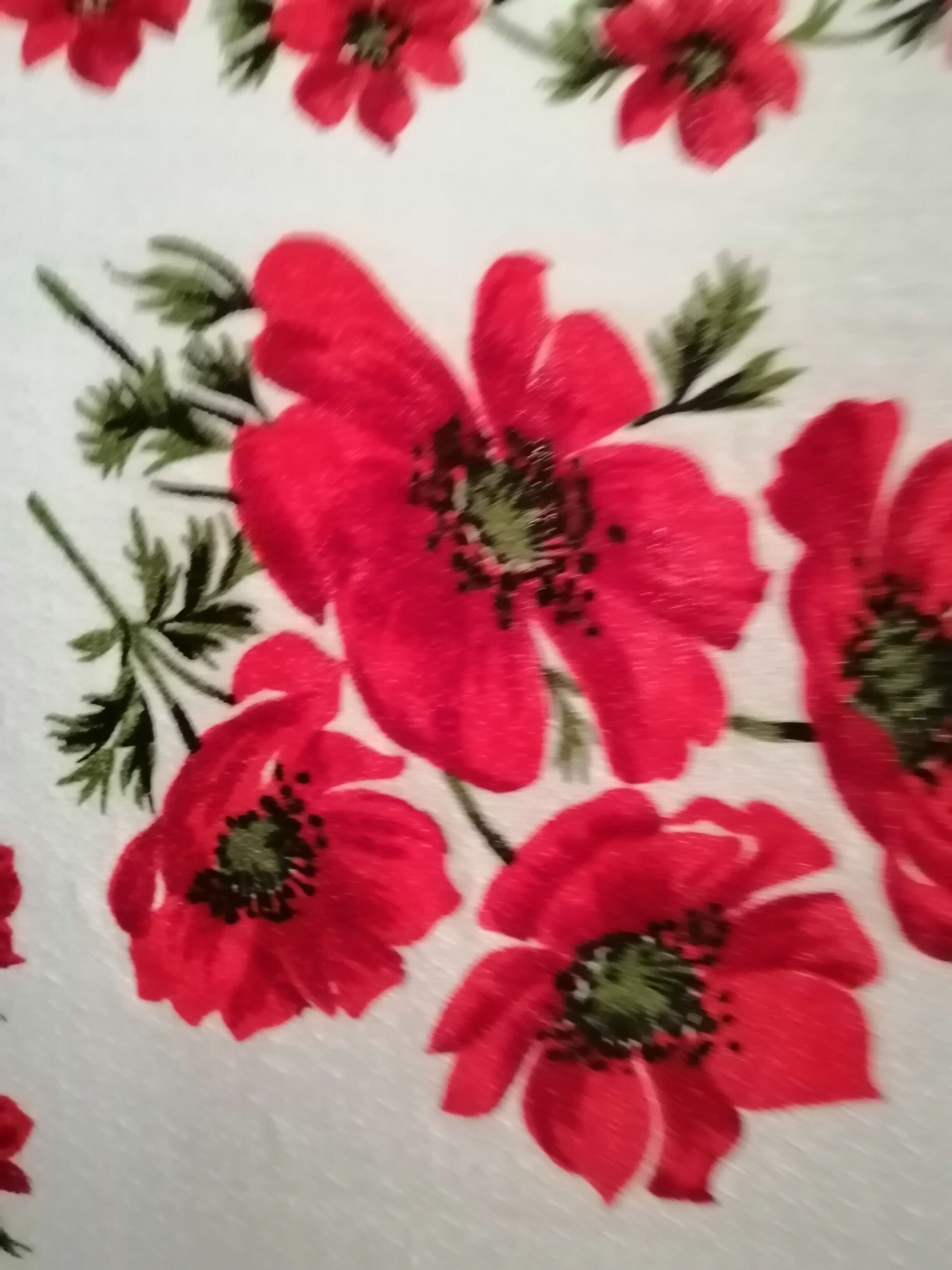 Tablecloth & vintage towels