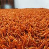 Vintage carpets