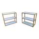 Pair of shelves in the style of André Sornay