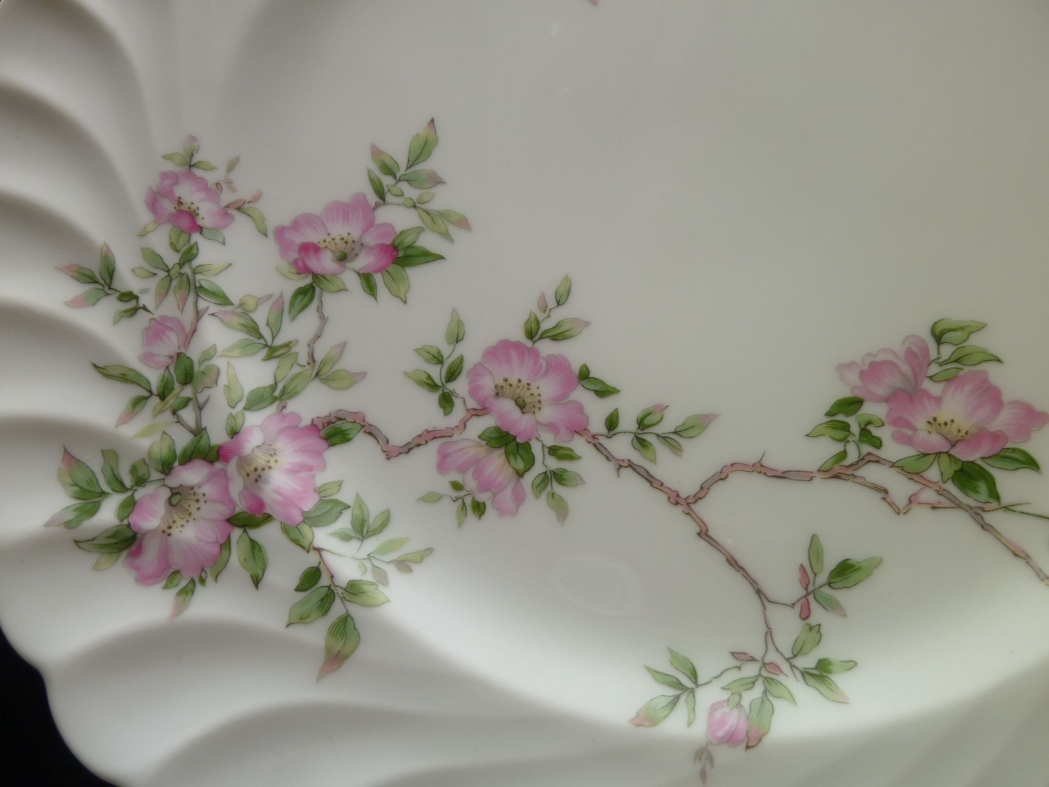 Set of 2 flat plates in porcelain of Limoges Haviland Model Eglantine