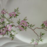 Set of 2 flat plates in porcelain of Limoges Haviland Model Eglantine