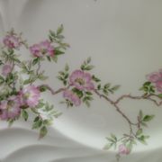 Set of 2 flat plates in porcelain of Limoges Haviland Model Eglantine