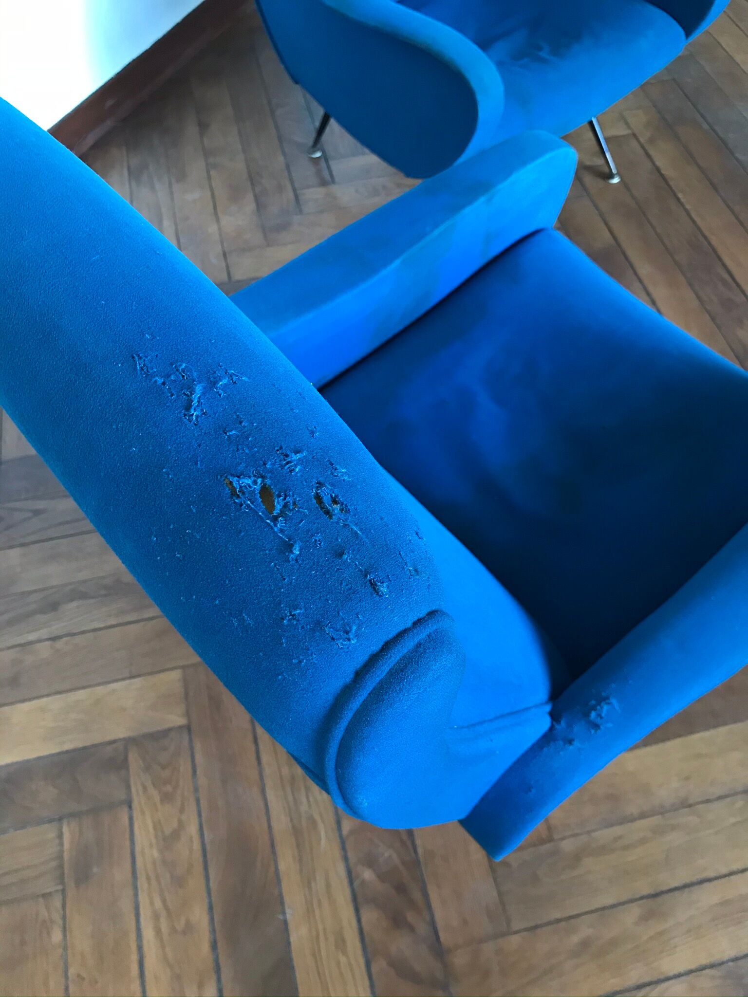 Pair of Italian armchairs