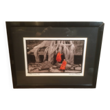Framed photo "Buddhist children, Angkor"