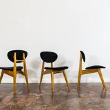 Mid-century chairs, GFM 22 by J. Kędziorek, Poland, 1960s, set of 3