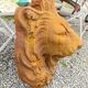 Cast iron lion's head, wall fountain