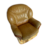 Leather armchair living room