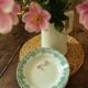 Lot 8 hollow plates Terre de Fert vert Fleurs Argenton Saint Amand