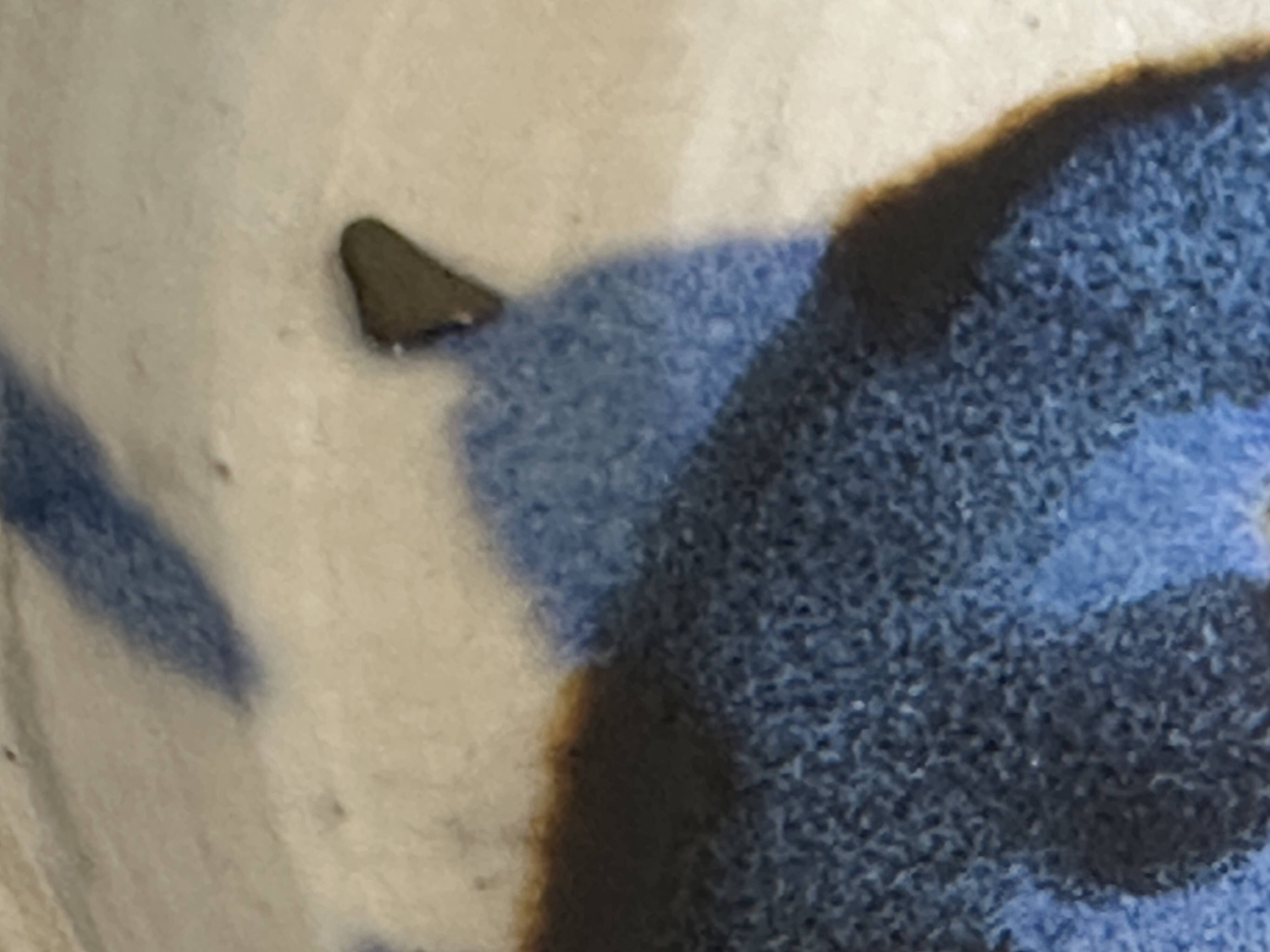 Ceramic plate signed vintage 70s