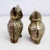 Duo of brass owls