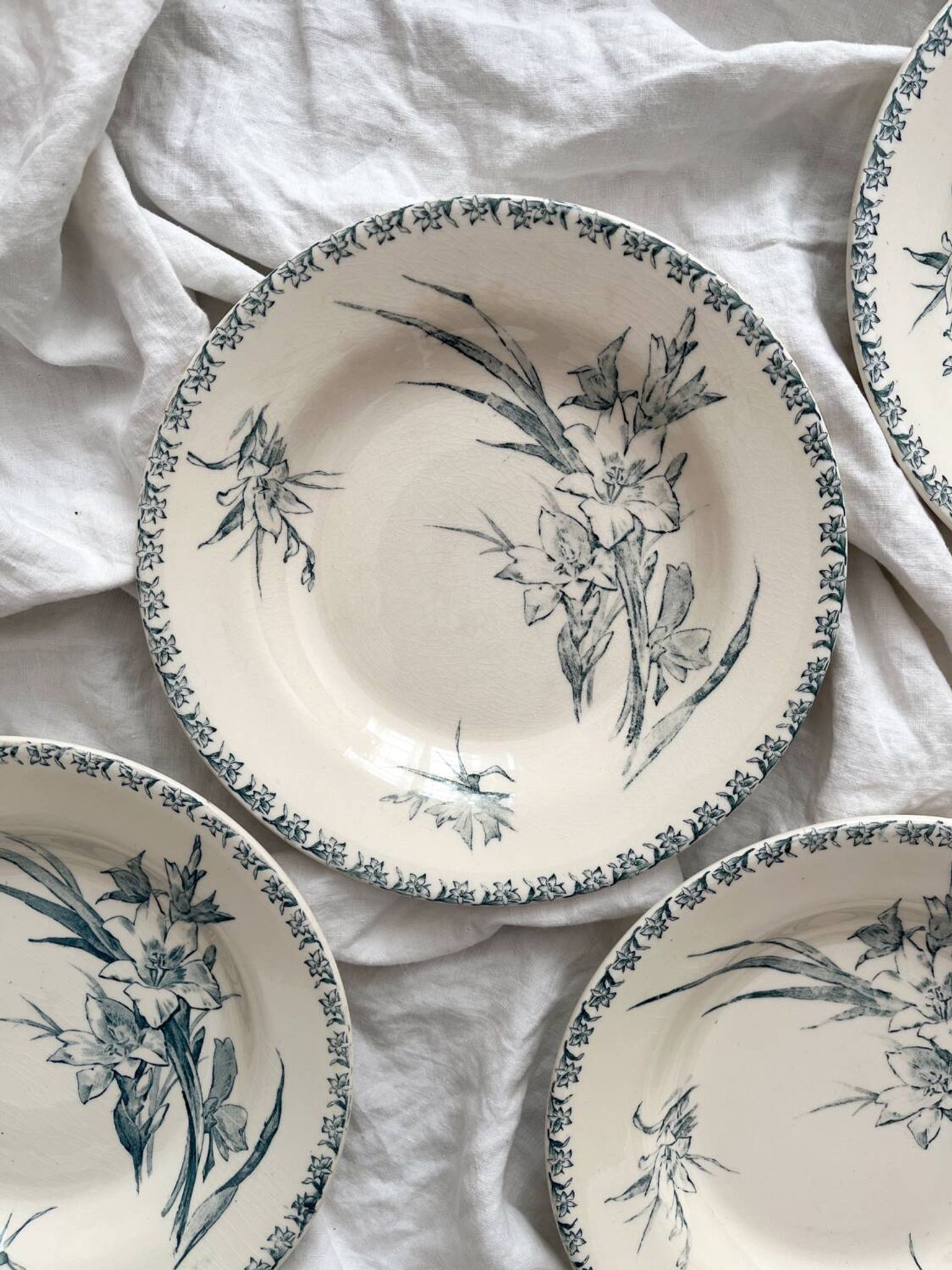 4 Gien ironstone soup plates “Gladiolus”