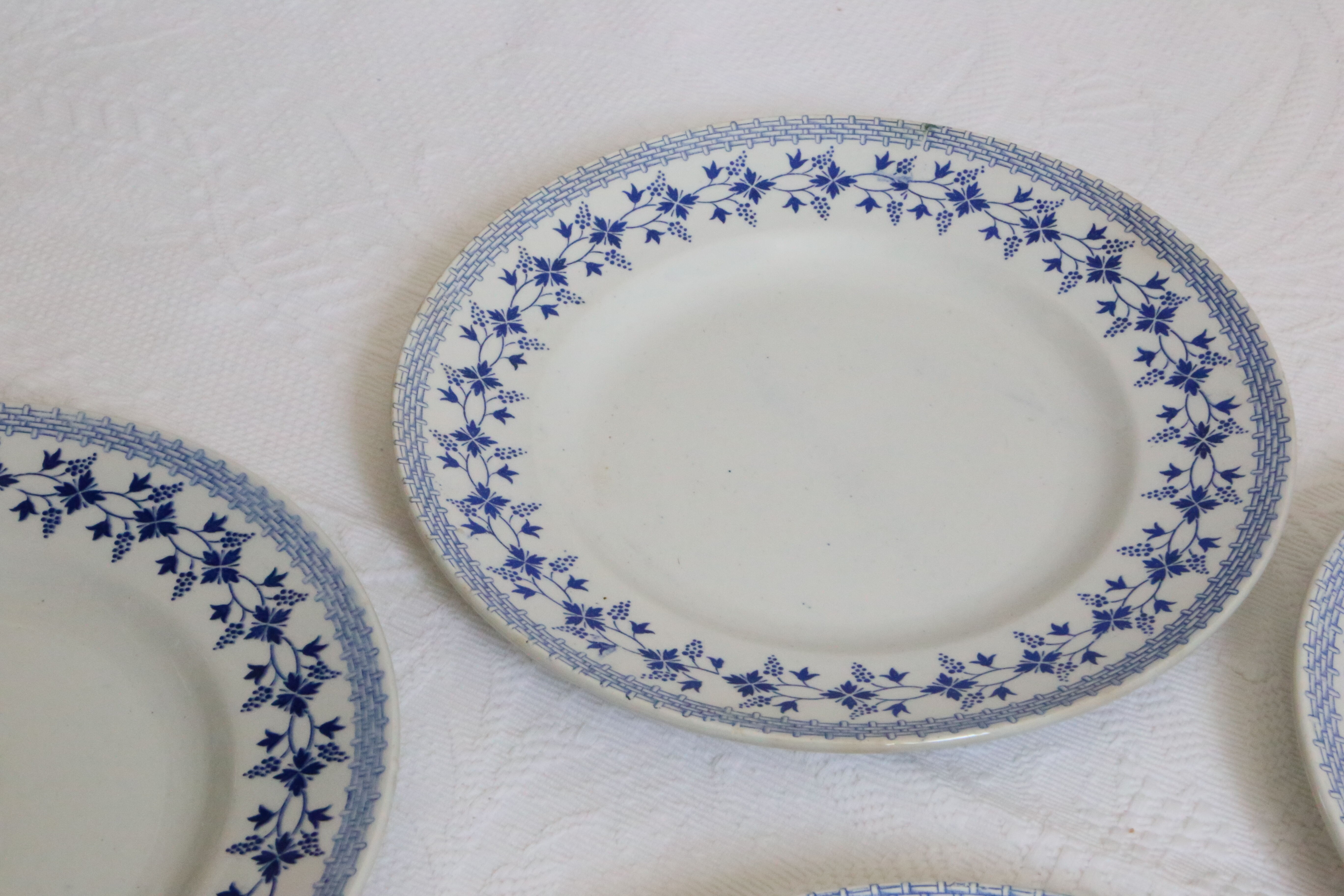 Ensemble de 9 assiettes plates, saint Amand, Bleuets, terre de fer