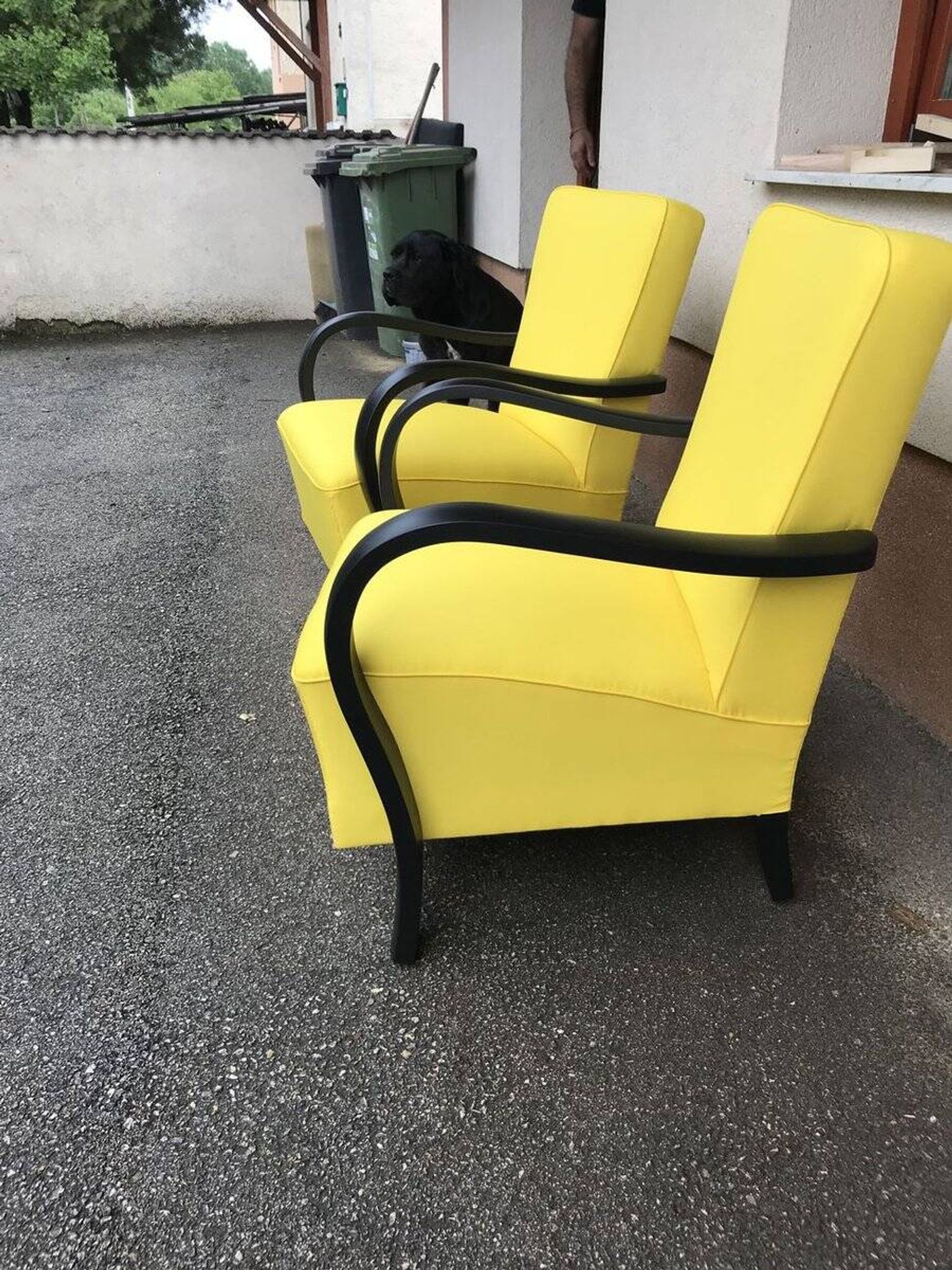 Pair of yellow Art Deco armchairs in cotton and wood, black frame, 1920s.