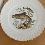 Assiettes plates luneville