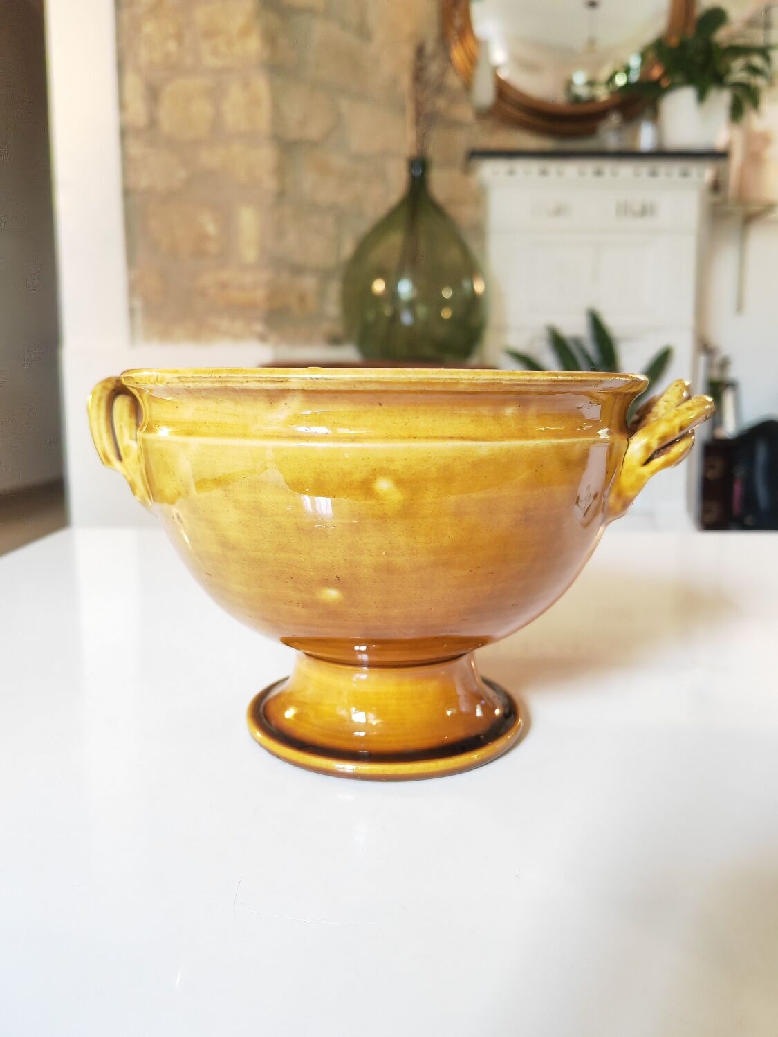 Coupe Aegitna Vallauris