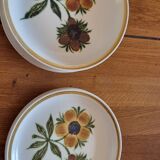 Gien plate