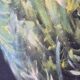 Painting on canvas depicting a phoenix, 1987