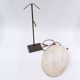 New Guinea Shell Breastplate