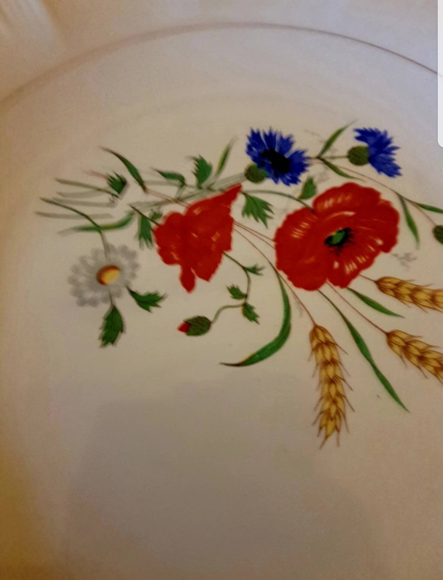 Large antique dish Sarreguemines Digoin, Agreste model