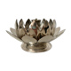 Candlestick stings flowers , lotus flower 80s