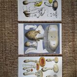 Lot de 3 planches botaniques mycologie champignon vintage