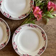 Set of 6 antique deep plates - Saint Amand Céranord