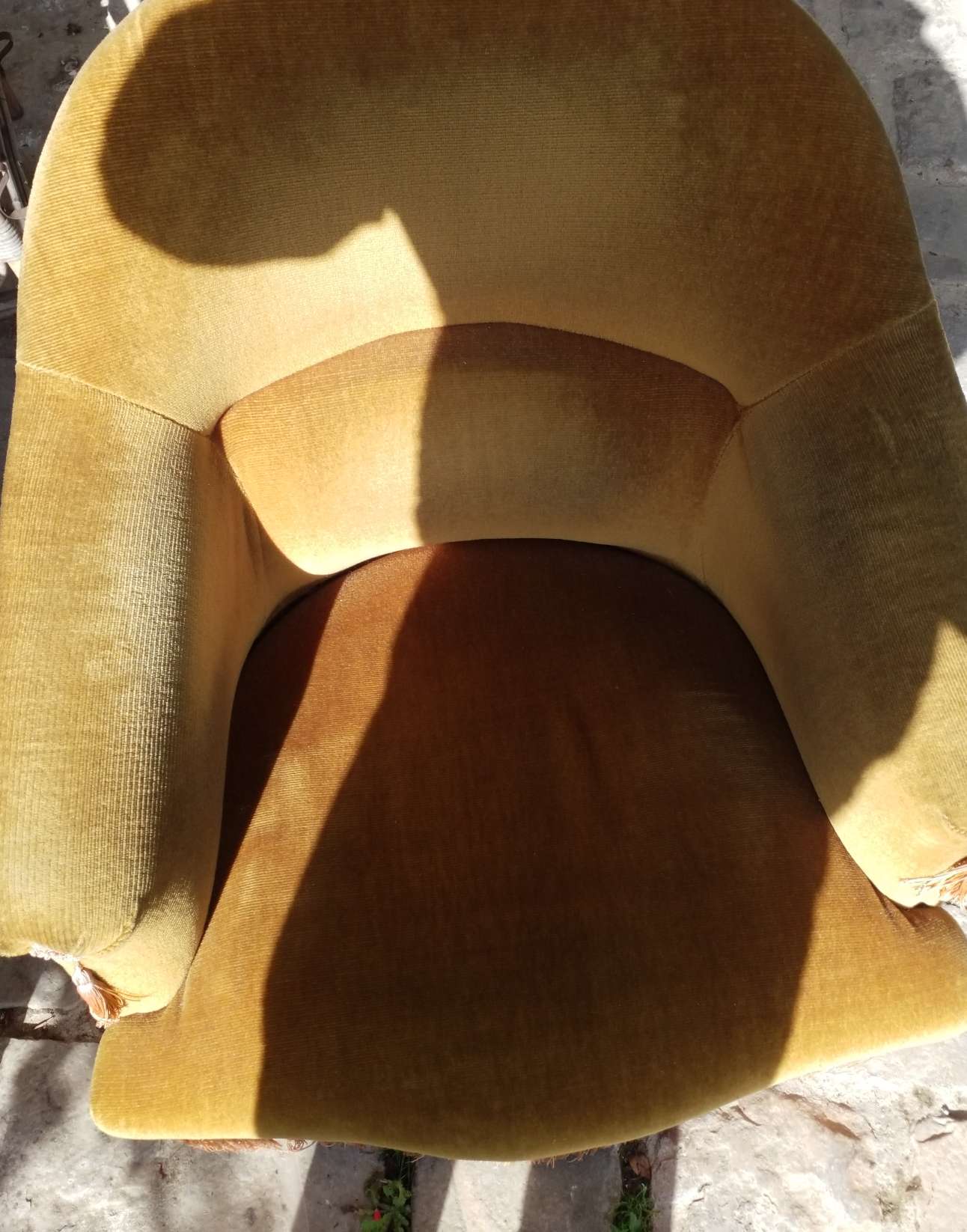 Pair of toad armchairs