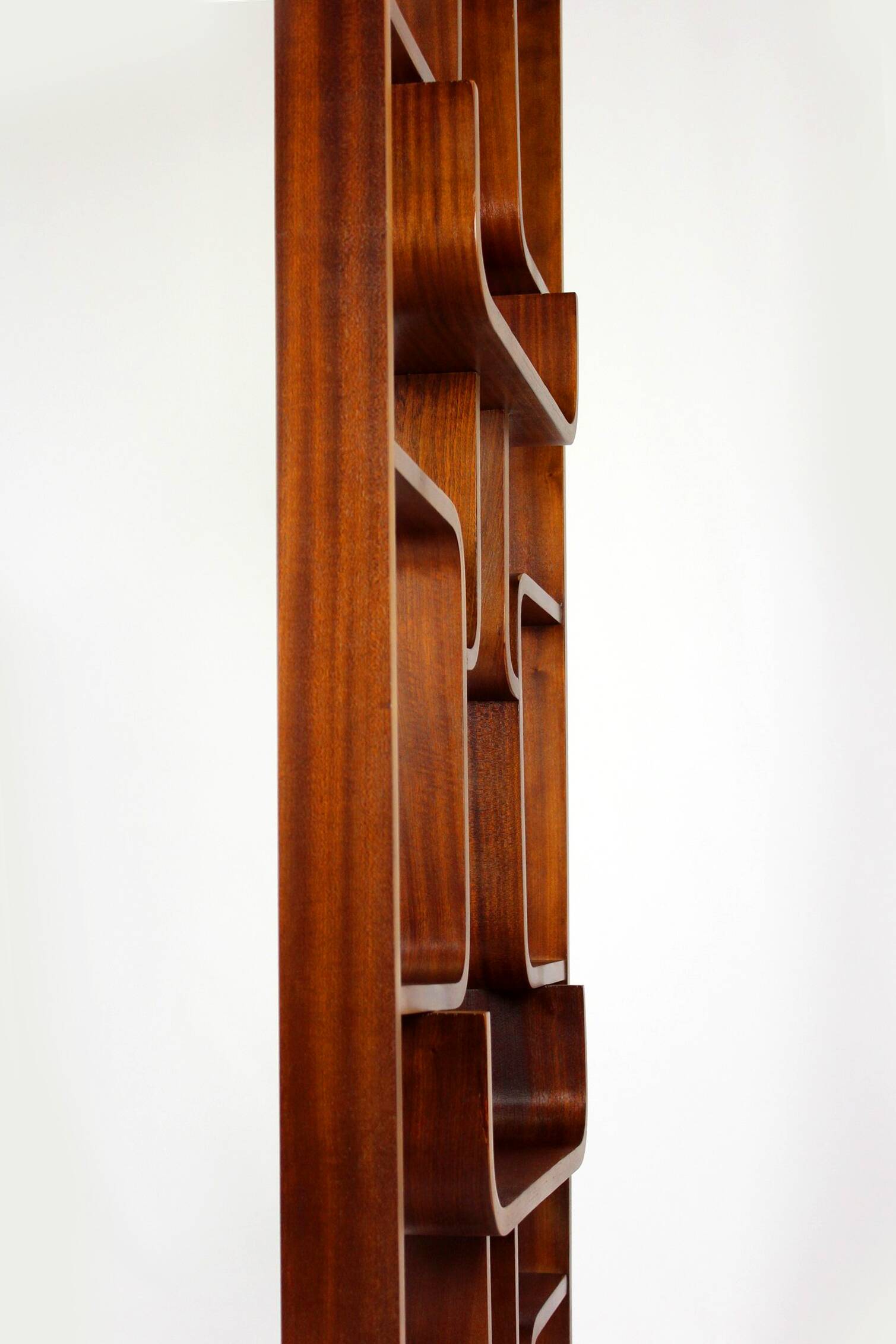 Restored Mid-Century Room Divider by Ludvik Volak for Drevopodnik Holesov, 1960s
