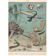 Planche lithographie les fonds marins faune océan 1900