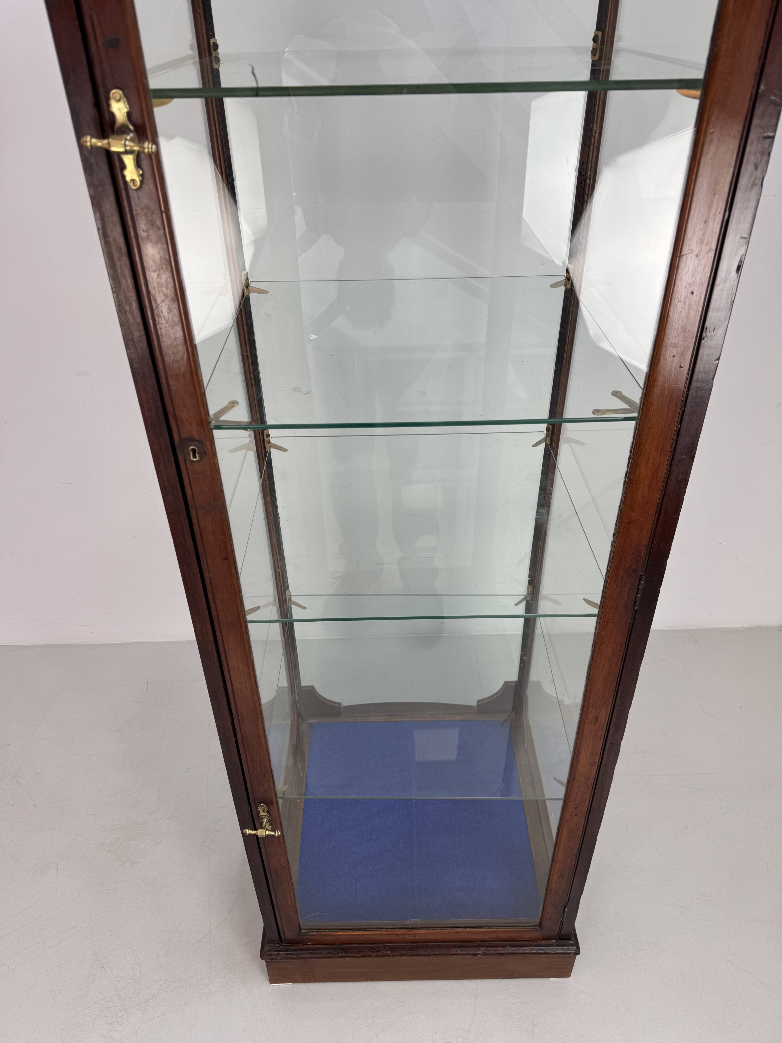 Beautiful mahogany museum display cabinet from England, circa 1925.