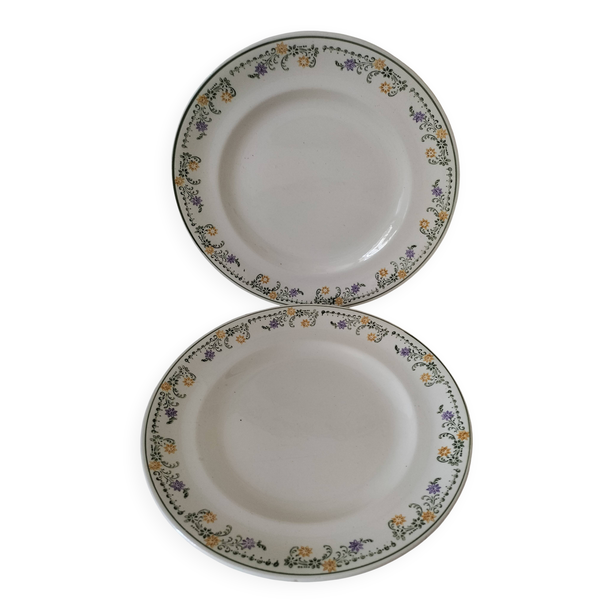 Pair of antique Longwy plates, Didier model, Circa 1870–1910