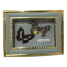 Naturalized butterflies frame