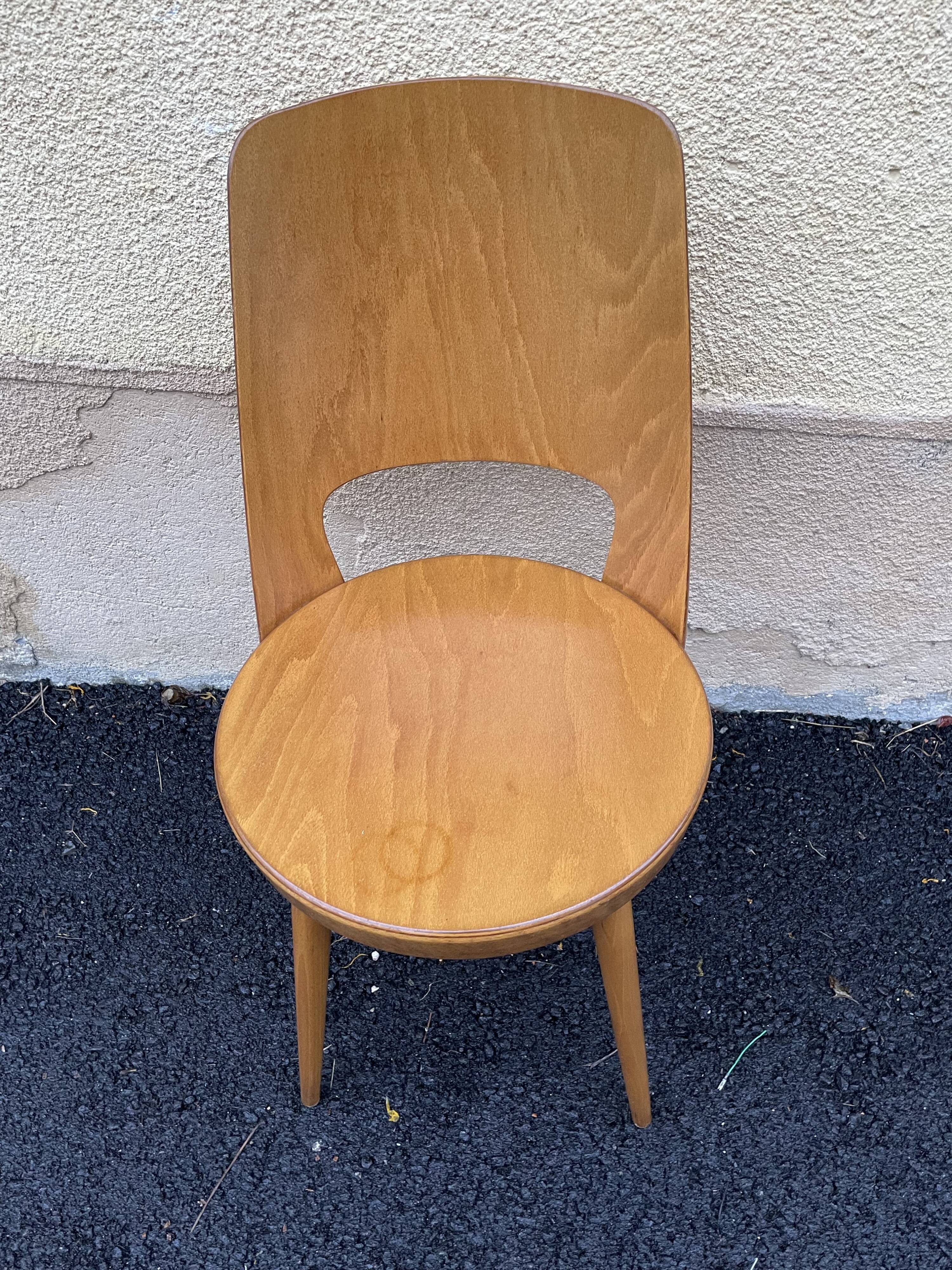 Baumann chairs "mondor"