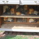 Vintage low buffet