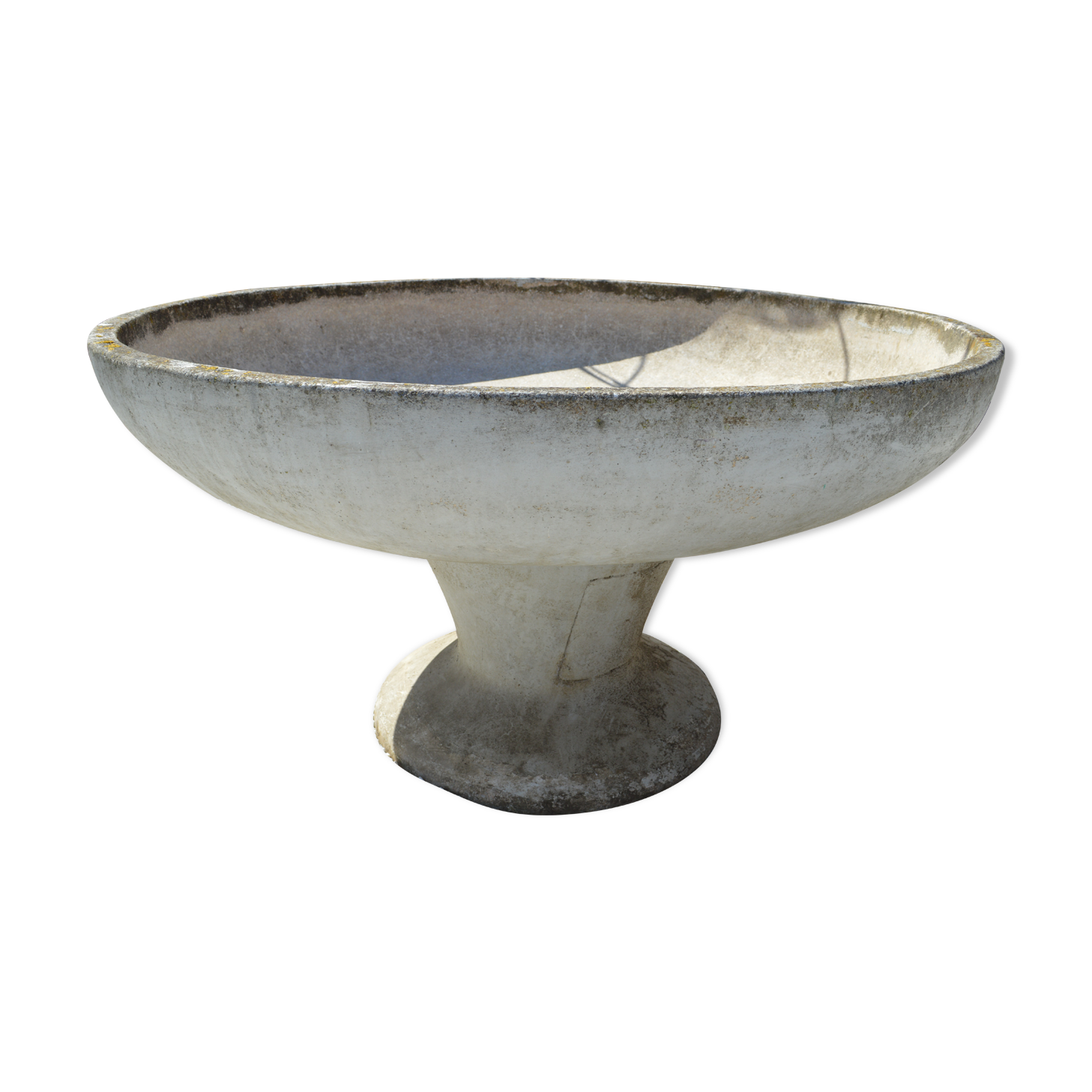 Planter for the cement garden