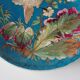 Exotic bird plate late 19th century - B & Cie Creil & Montereau