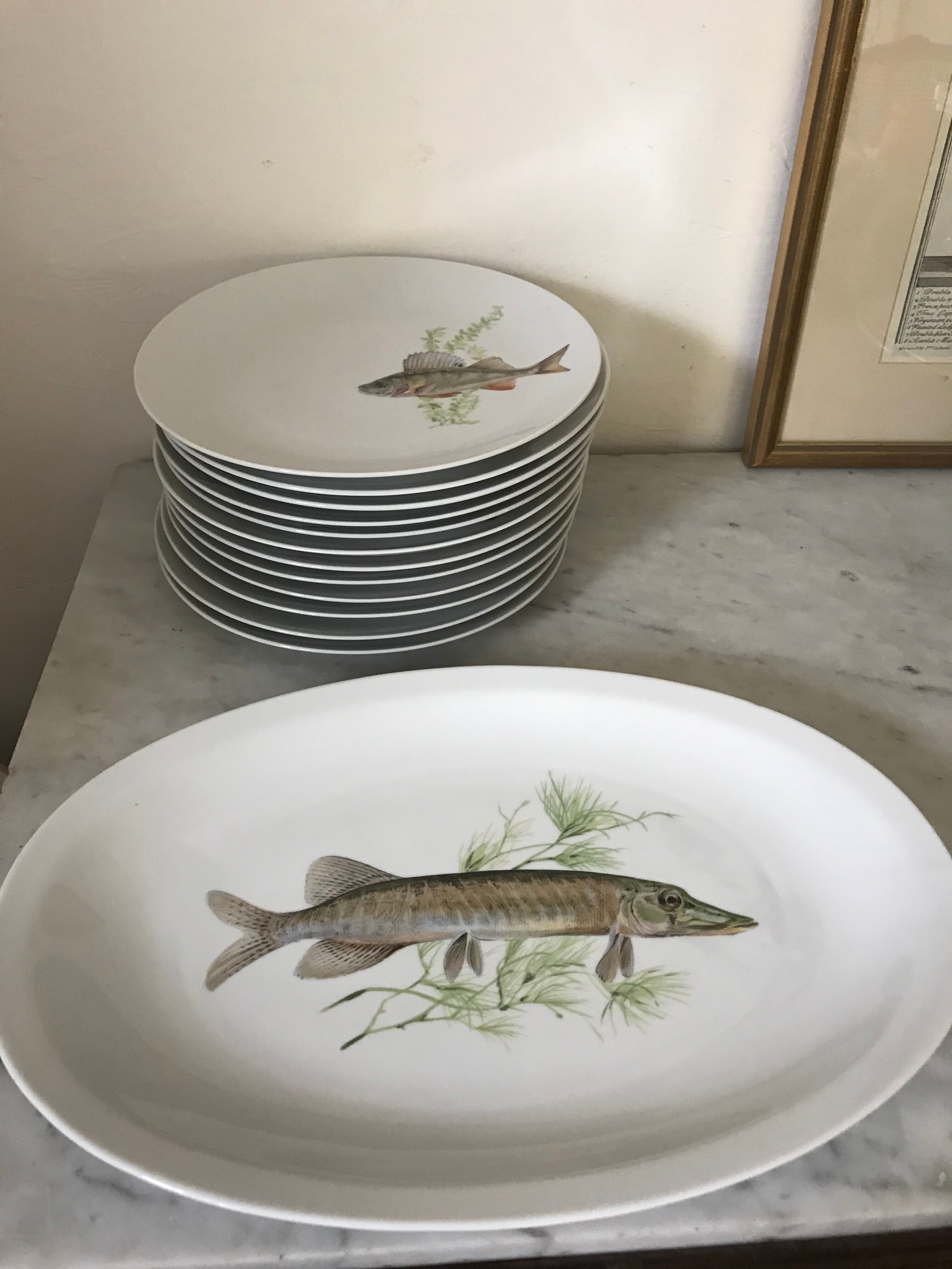 12 assiettes en porcelaine