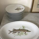 12 porcelain plates