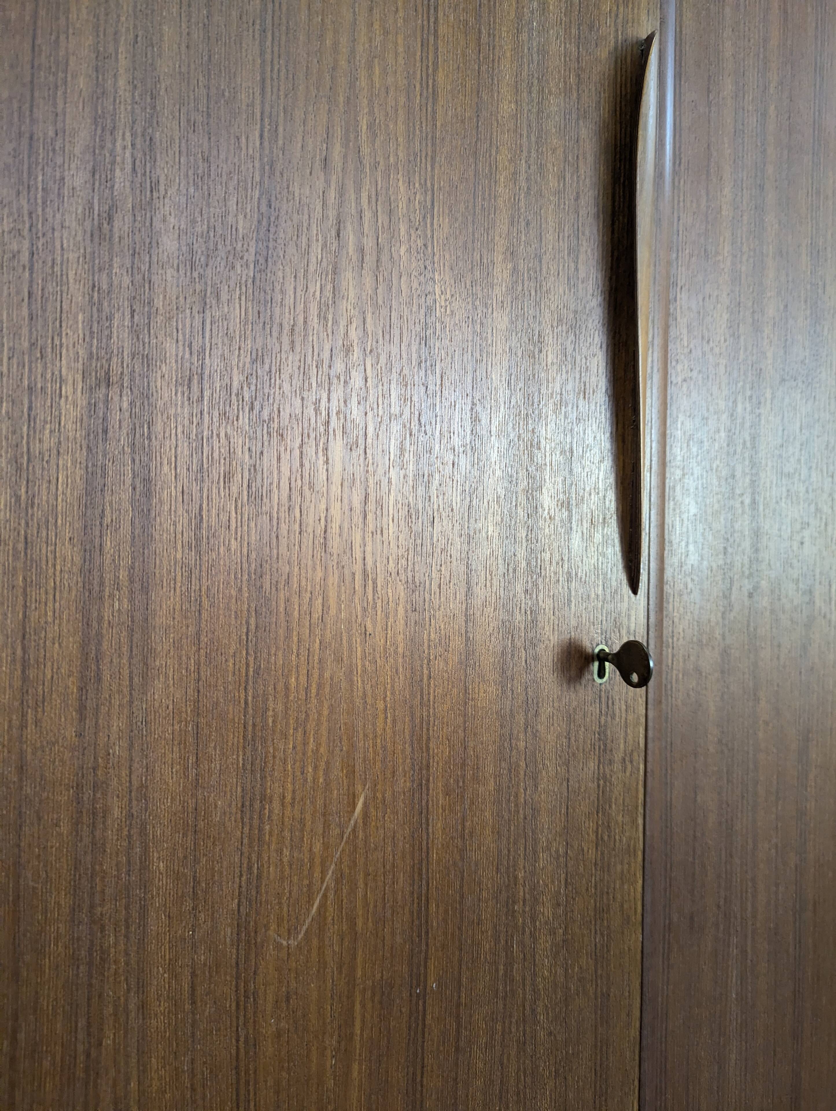 Scandinavian teak wardrobe Tricoire and Vecchione