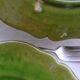 6 flat plates green BIOT