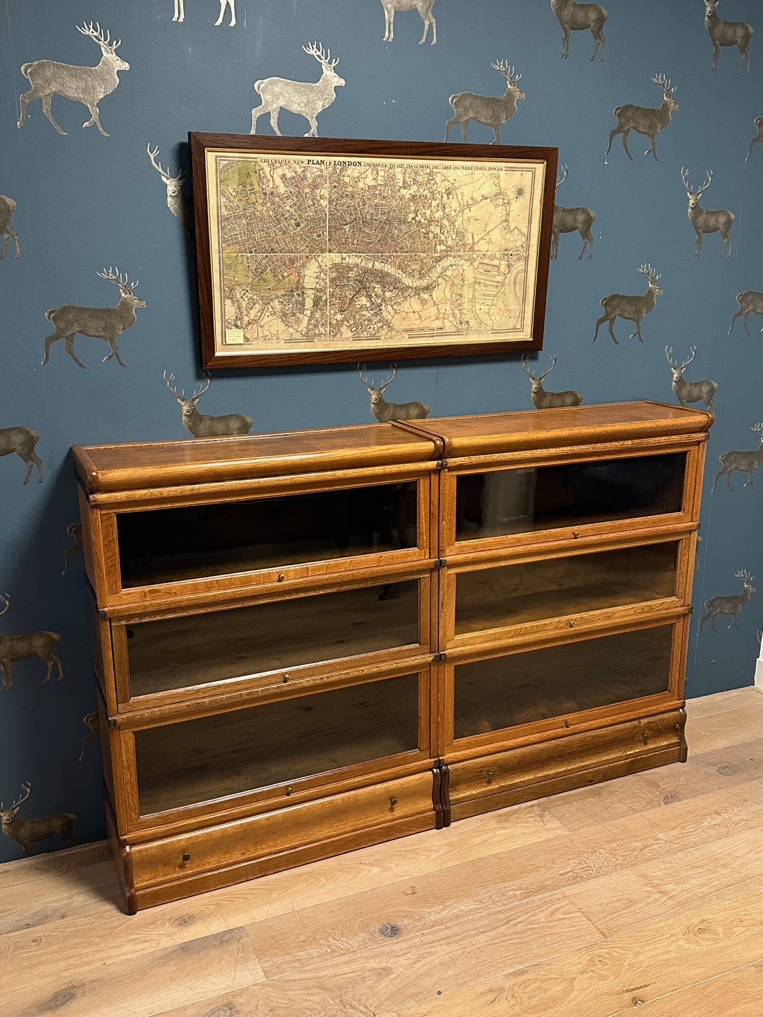 Globe Wernicke Bookcase