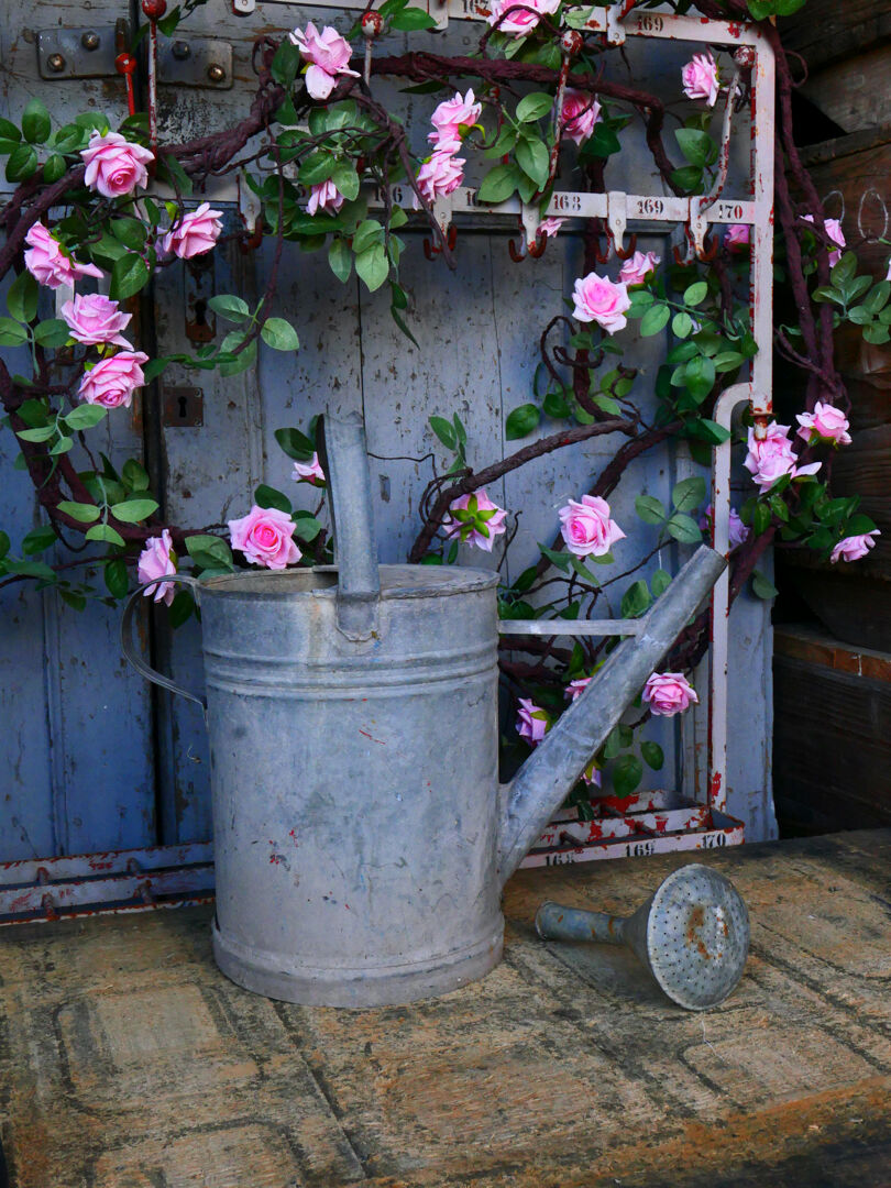 Zinc watering can