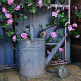Zinc watering can