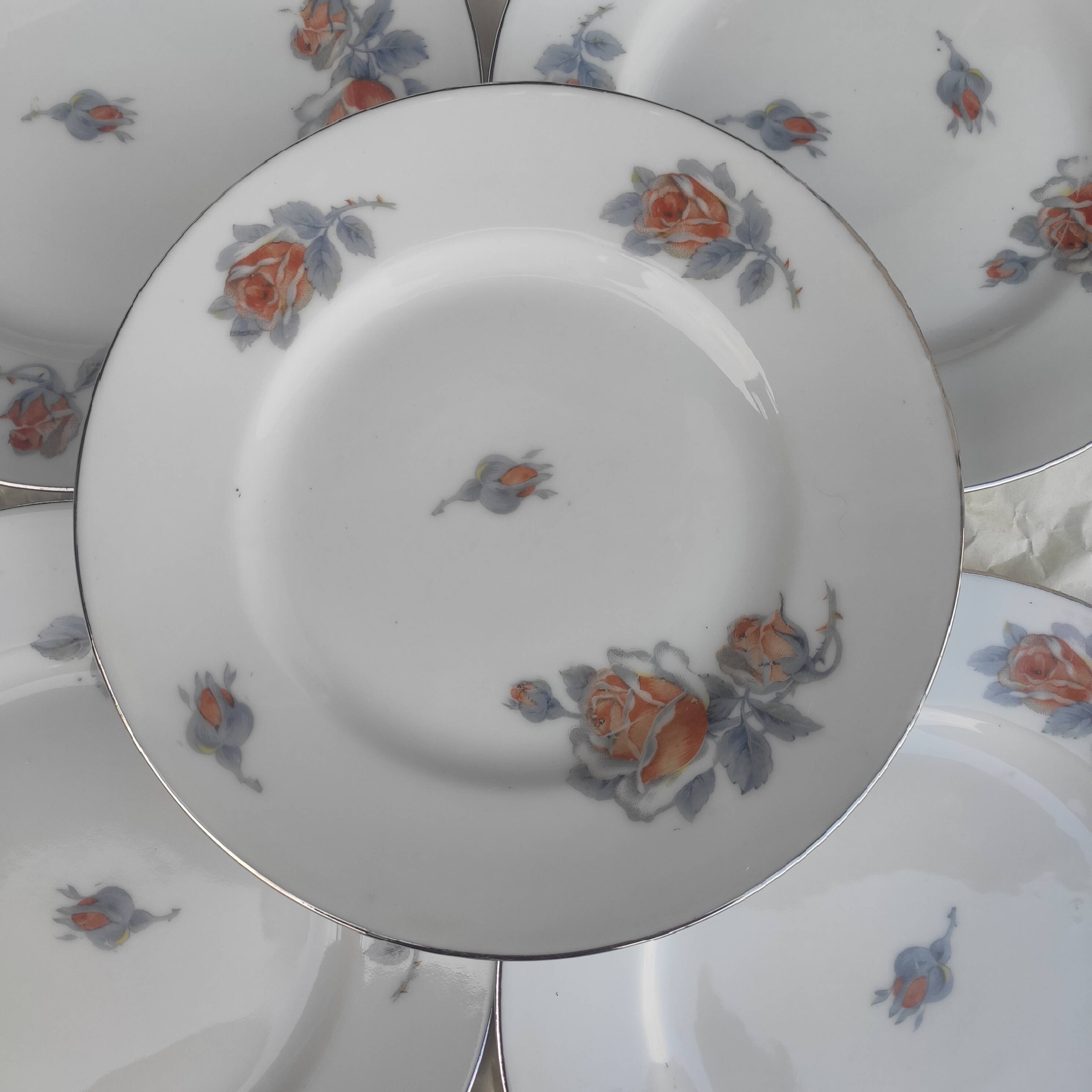 Limoges porcelain plates