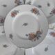 Limoges porcelain plates