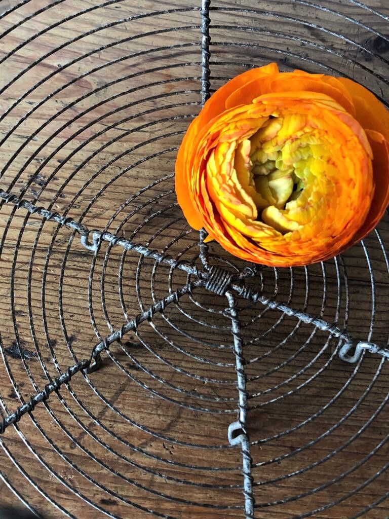 Panier à oeufs rond en métal vintage