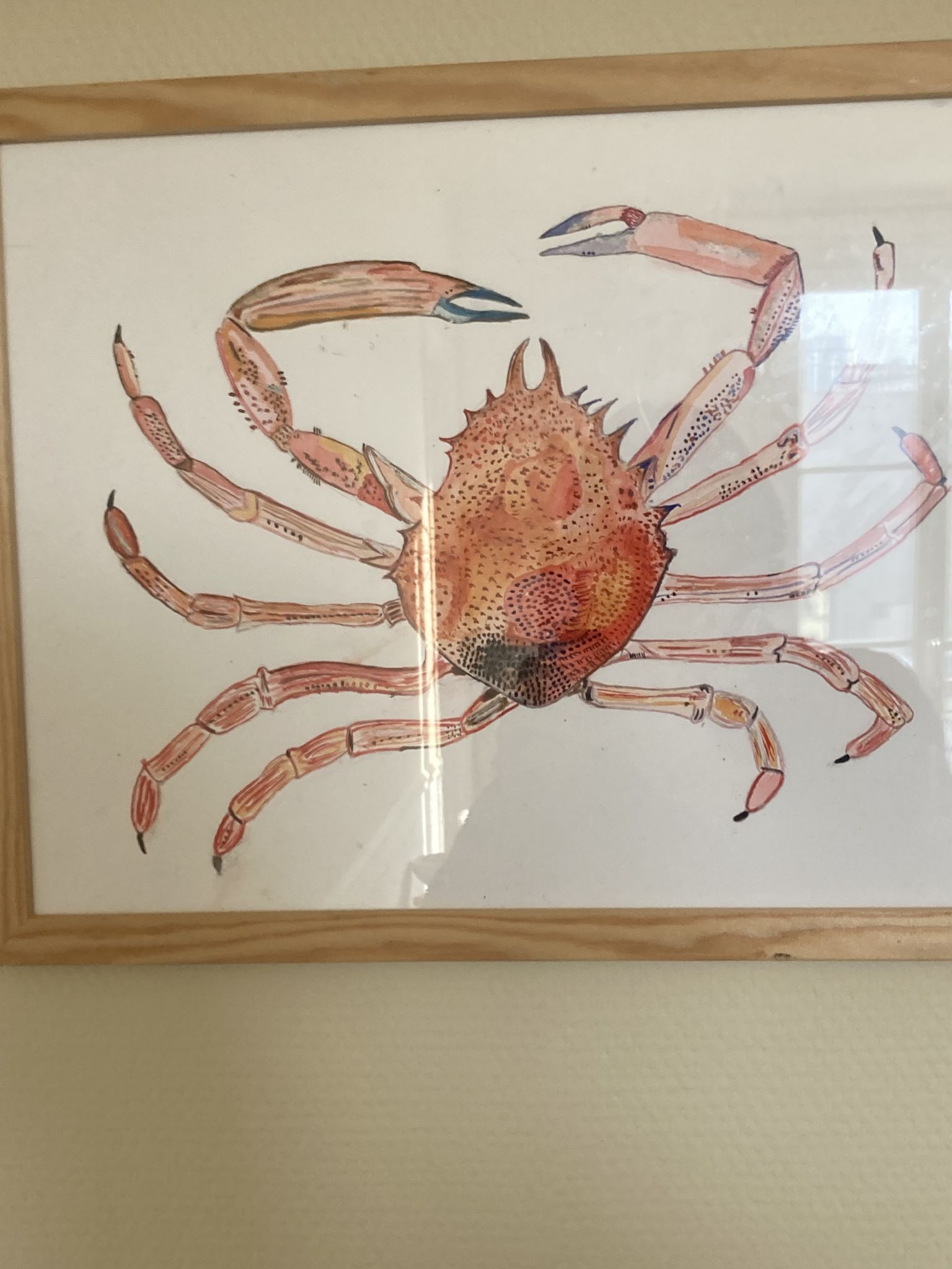 Araignée de mer