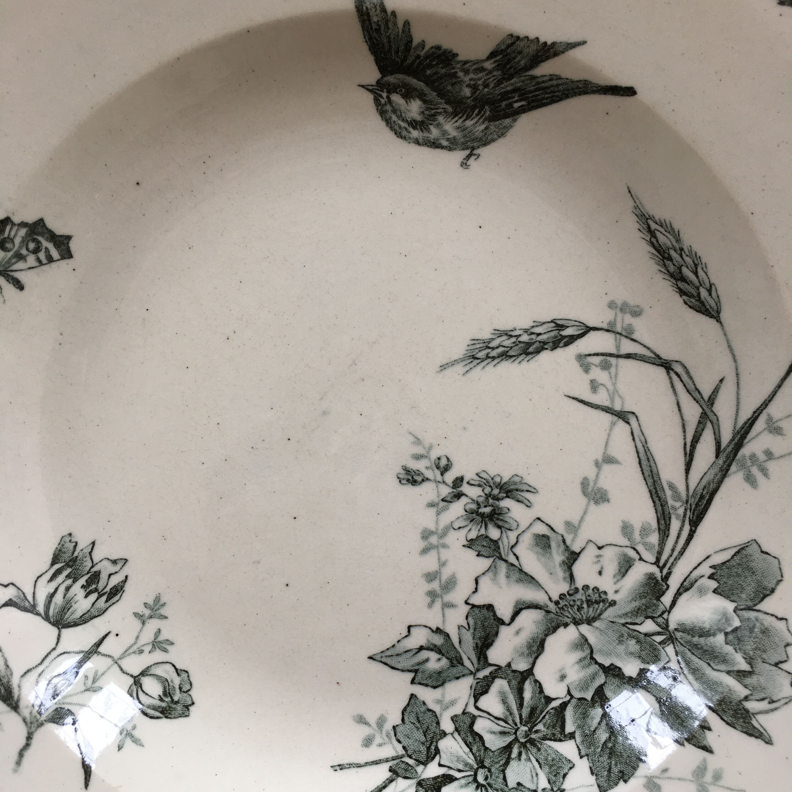 Assiette Bougeois décor oiseau