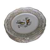 Lot de 5 assiettes à dessert "oiseaux différents"