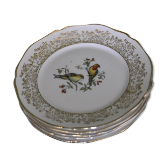 Lot of 5 dessert plates "different birds"